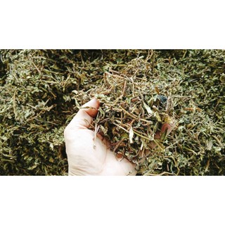 100g cây rau dừa nước sấy khô