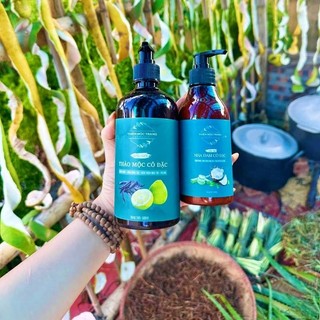 Dầu gội thảo mộc cô đặc (chai 500ml)