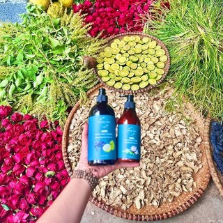 Dầu gội thảo mộc cô đặc (chai 500ml)