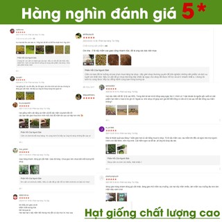 Hạt Giống Rau Mầm Cải Ngọt