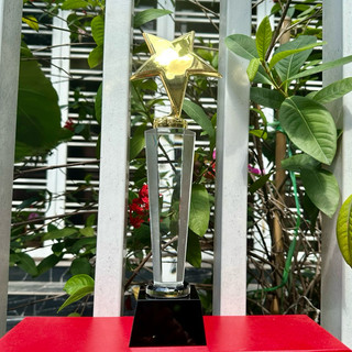 Cúp pha lê sao đơn kim loại