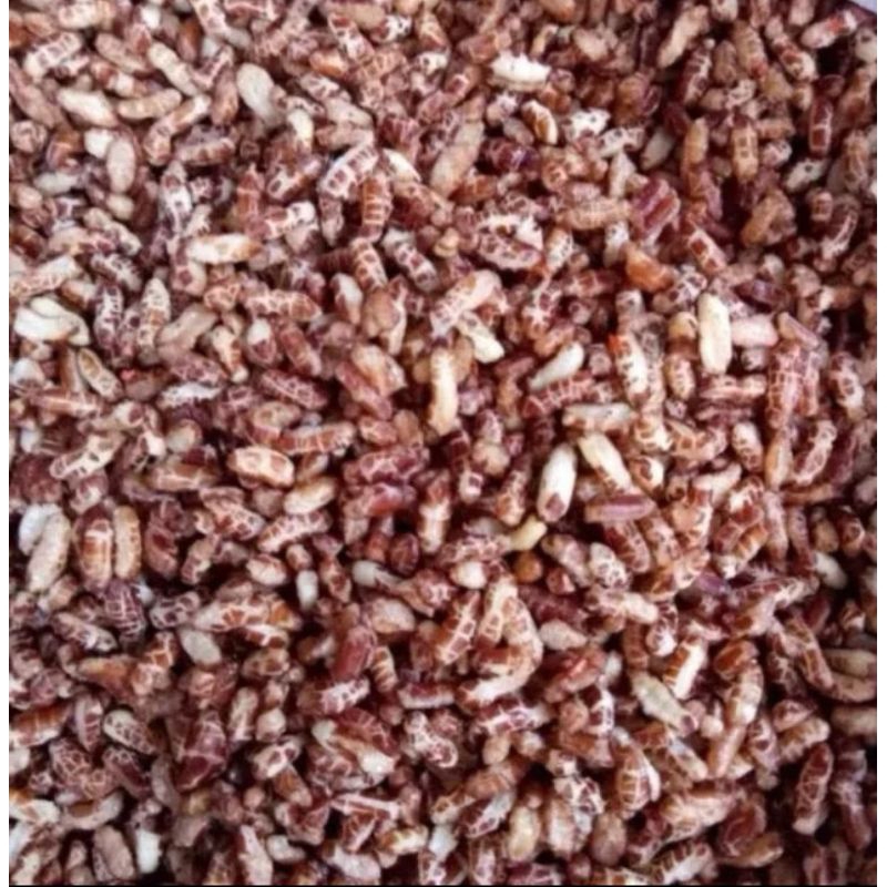 (Sỉ 5Kg ) Gạo Lứt Sấy Nguyên Vị Không Rong Biển đóng túi 5kg