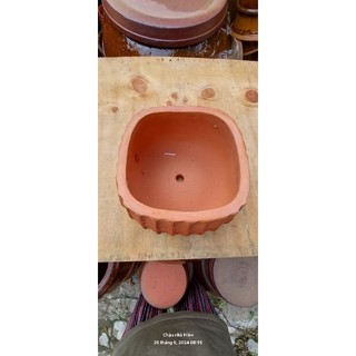 Chậu đất nung - chậu nồi thấp miệng 17 x cao 12