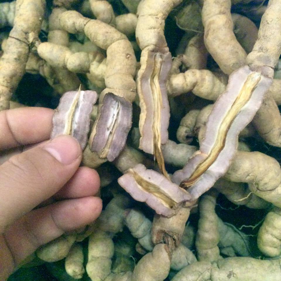 01 Kg Ba Kích Tím tươi Nguyên Củ-Quảng Ninh loại 1