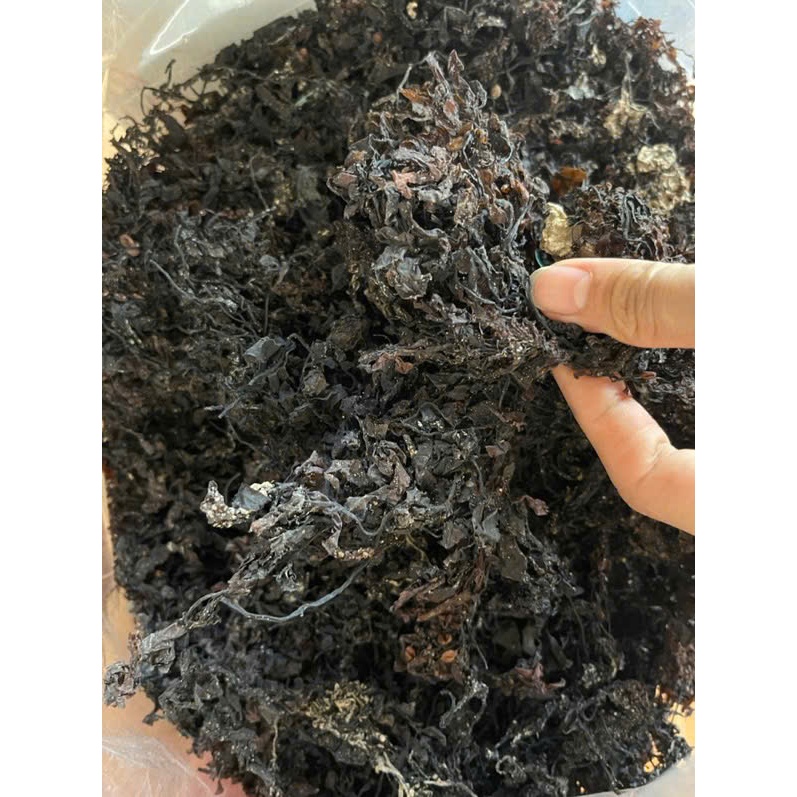 Rong Biển Nấu Sâm (loại khô) 1kg