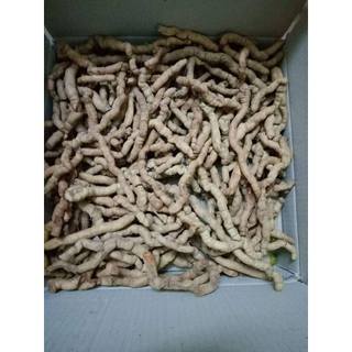 01 Kg Ba Kích Tím tươi Nguyên Củ-Quảng Ninh loại 1