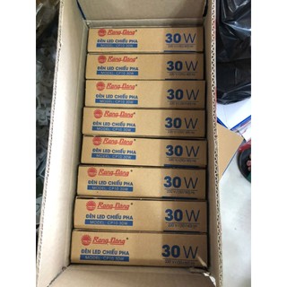 Đèn Pha LED 30W Model: CP10 30W ip66 Rạng Đông