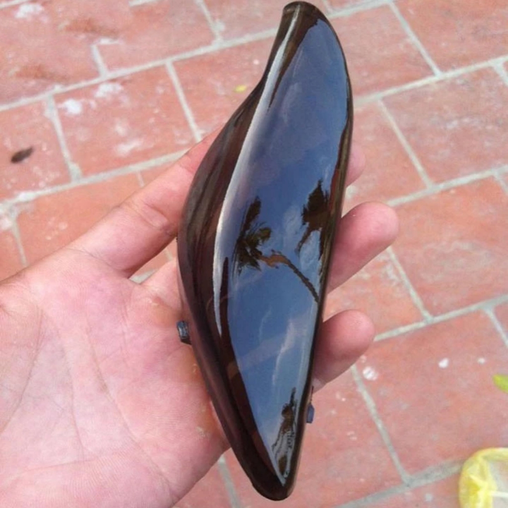 nắp chụp xi nhan màu đen cho wave ( giá 1 đôi )