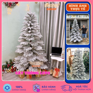  Cây Thông Noel Giáng SInh 1m5,2m 2m4 Levo Cành Treo Phủ Tuyết Trang Trí Nhà  Hàng  Khách Sạn  Phòng Khách  ... 