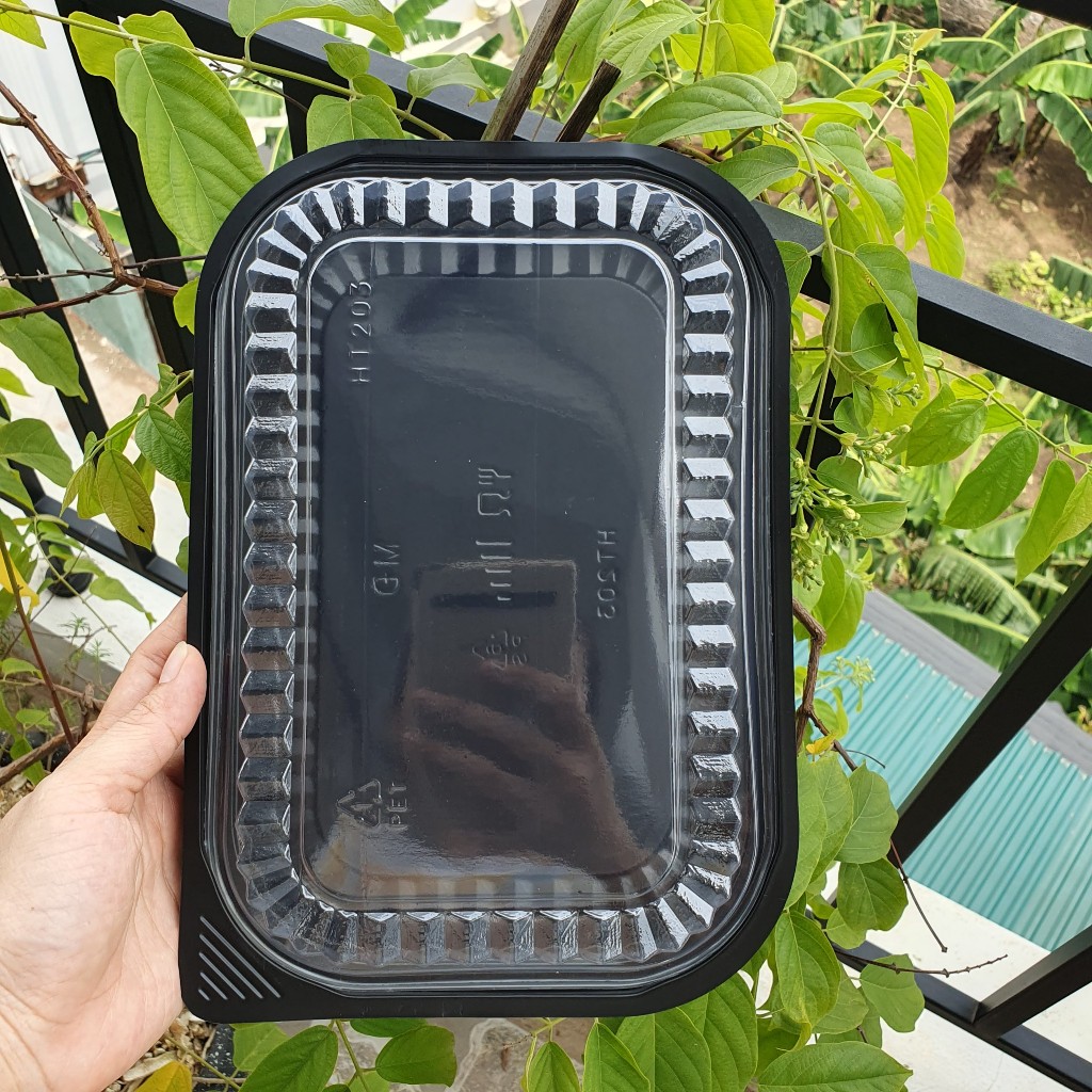50 hộp đế đen nắp trong HT203