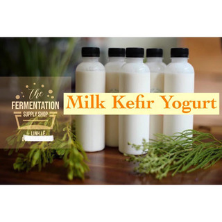   HCM Sữa chua Kefir KO BÉO bổ sung lợi khuẩn tươi nhiều nhất- hổ trợ tiêu hoá Giảm cân siết cân gymer ngừa loãng xương 
