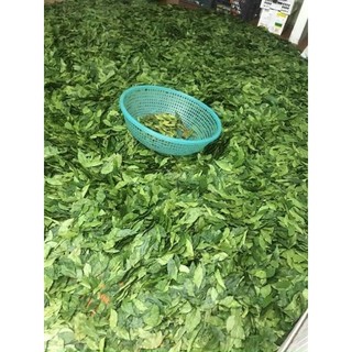 Lá Mắc Mật Khô Lạng Sơn (1kg)