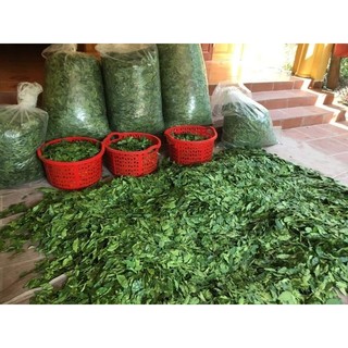 Lá Mắc Mật Khô Lạng Sơn (1kg)