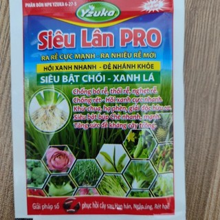  Phân bón Siêu Lân Pro 25g thuốc kích ra rễ cực mạnh giải độc phèn chống rét phục hồi cây sau khi ngập úng 