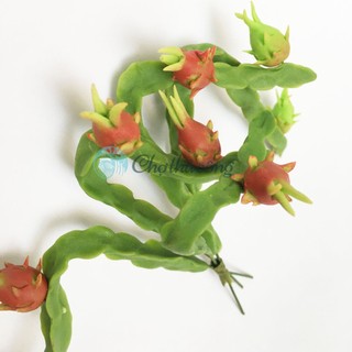 Bụi táo / cam / thanh long đất sét nhật thái mini handmade