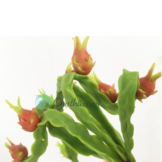 Bụi táo / cam / thanh long đất sét nhật thái mini handmade
