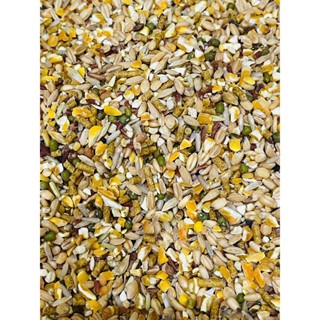 Thức ăn cho gà đá - ngũ cốc gà đá giá rẻ