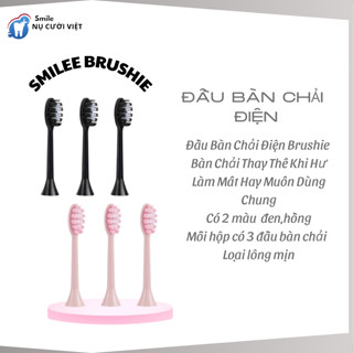 Đầu Bàn Chải Điện Brushie phù hợp Brushie Hàng Chính Hãng Loại Tốt