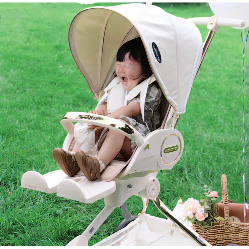 XE ĐẨY GẤP GỌN V9 V18 BAOBAOHAO