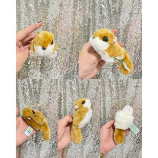 Gấu bông Con Sóc Chồn