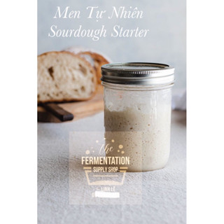 [Cam kết thành công]Men tự nhiên Sourdough starter men tươi giống ủ làm bánh mỳ milk kefir kombucha nấm sữa men sữa chua