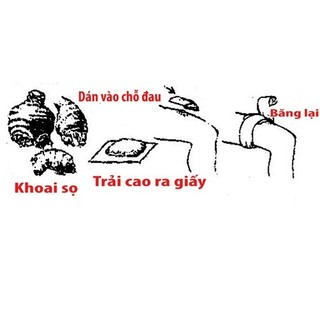 Cao Khoai Môn 10gr