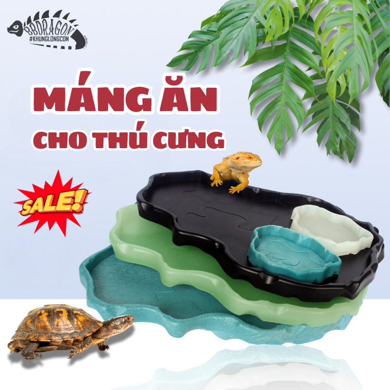 MÁNG ĂN CHO BÒ SÁT RÙA CẠN SULCATA SAO ẤN ĐỘ RỒNG NAM MỸ IGUANA THÚ CƯNG