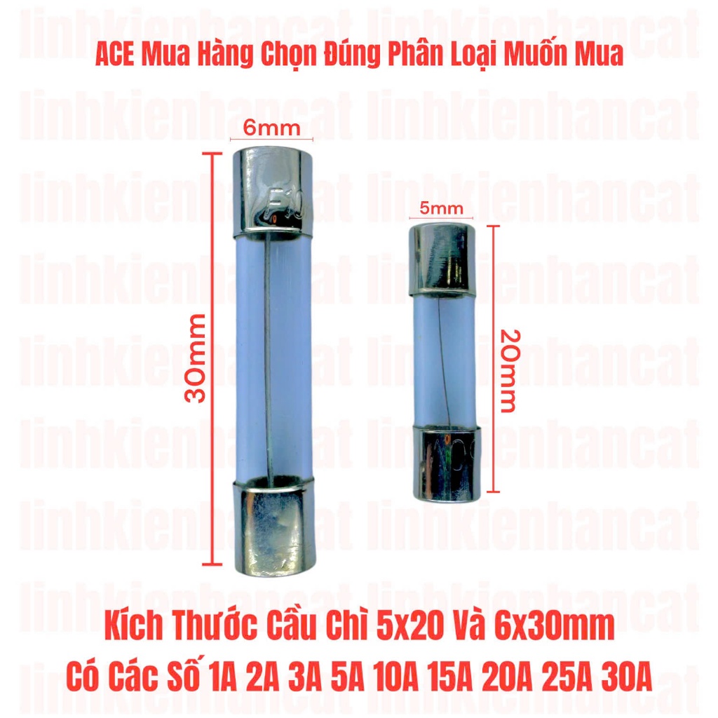 [ Gói 10 Cái ] Cầu Chì 5x20mm Dòng 10A