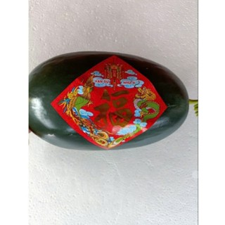 Mô hình quả dưa hấu 3D bằng nhựa trang trí Tết