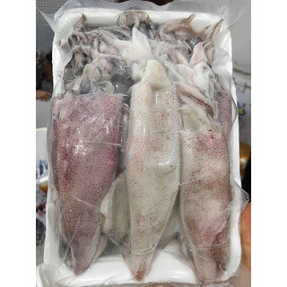 Mực ống size nhỡ khay 500g nướng thả lẩu , hải sản tươi thái bình