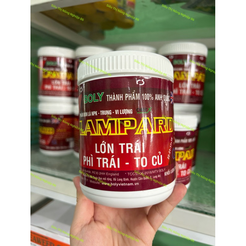 LAMPARD 22-21-17+TE - LỚN TRÁI PHÌ TRÁI TO CỦ
