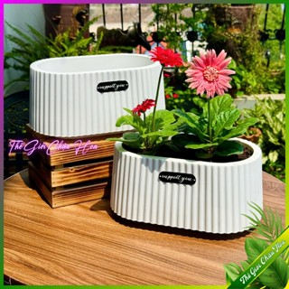 Chậu cây, Chậu nhựa trồng cây hình ôvan để bàn cao cấp, trồng cây cắm hoa giả trang trí phòng khách bàn làm việc