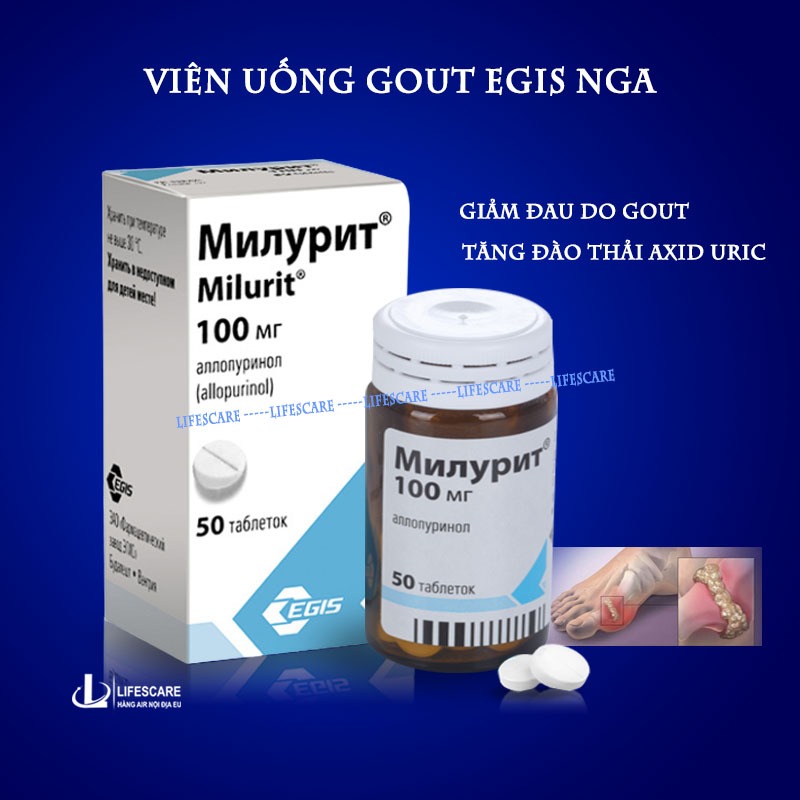 Viên uống Gout Egis Nga hỗ trợ giảm sưng đau do gout, tăng đào thải axid uric, 50 viên