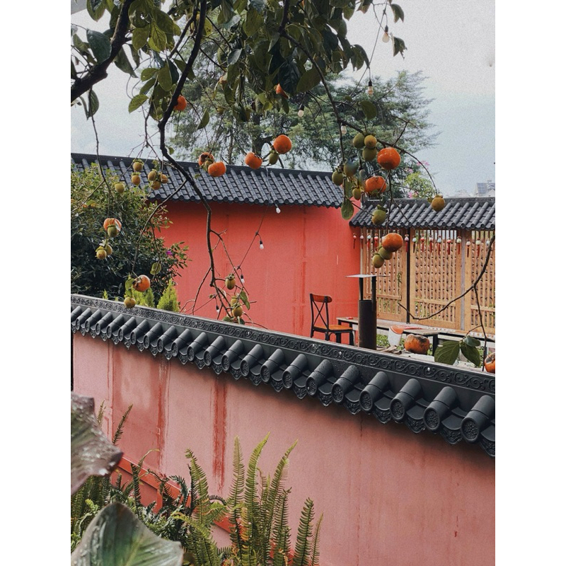 mái nhựa âm dương r60
