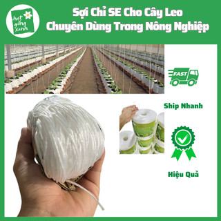 Dây SE Treo Dưa Lưới, Cà Chua (500m)