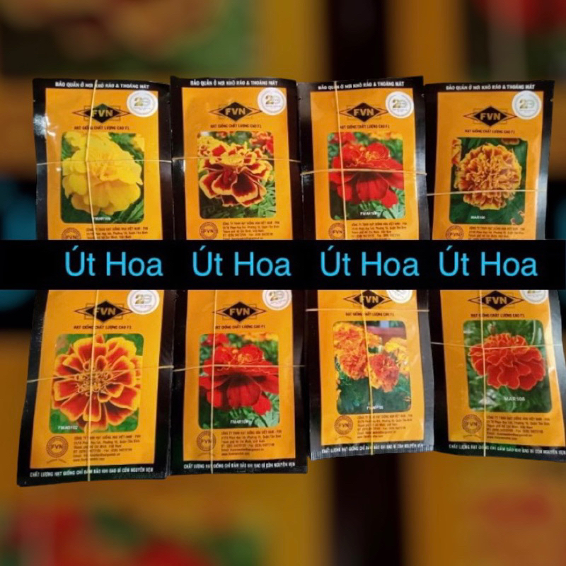 Hạt giống hoa Vạn Thọ Mai hiệu FVN cao cấp, nảy mầm mạnh, hoa to đẹp