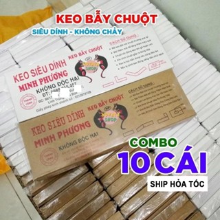 10 Cái Keo Chuột Siêu Dính - Để lâu, tái sử dụng nhiều lần