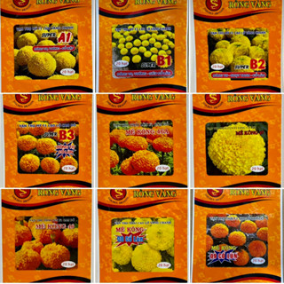  Gói nhỏ 20 50 hạt - Hạt giống Hoa Vạn Thọ Rồng Vàng hoa to cổ chắc chống đổ ngã 