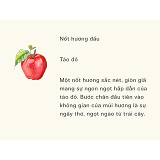 Nước hoa mini Jo Malone Peony & Blush Suede 9ml