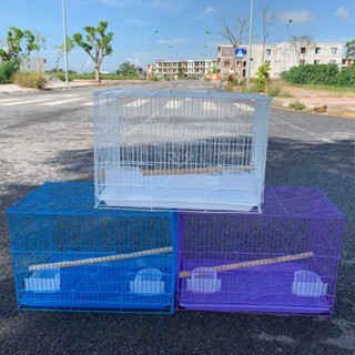 Lồng Nuôi Chim Chào Mào⚡ HÀNG CÔNG TY ⚡ Lồng nuôi chim Yến phụng, Lồng Tách Chim ( size 47 cm x 30 cm x 30 cm )