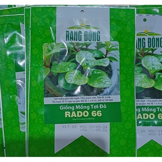Hạt giống rau mồng tơi đỏ - mồng tơi tím - 2gr
