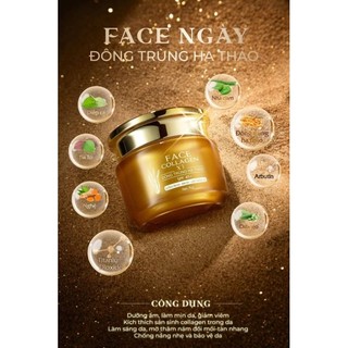 Kem Face Ngày Đông Trùng Hạ Thảo
