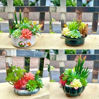 (Cắm sẵn) Chậu sen đá - Phú Quý Cát Tường, trang trí, để bàn - Hoa nhân tạo