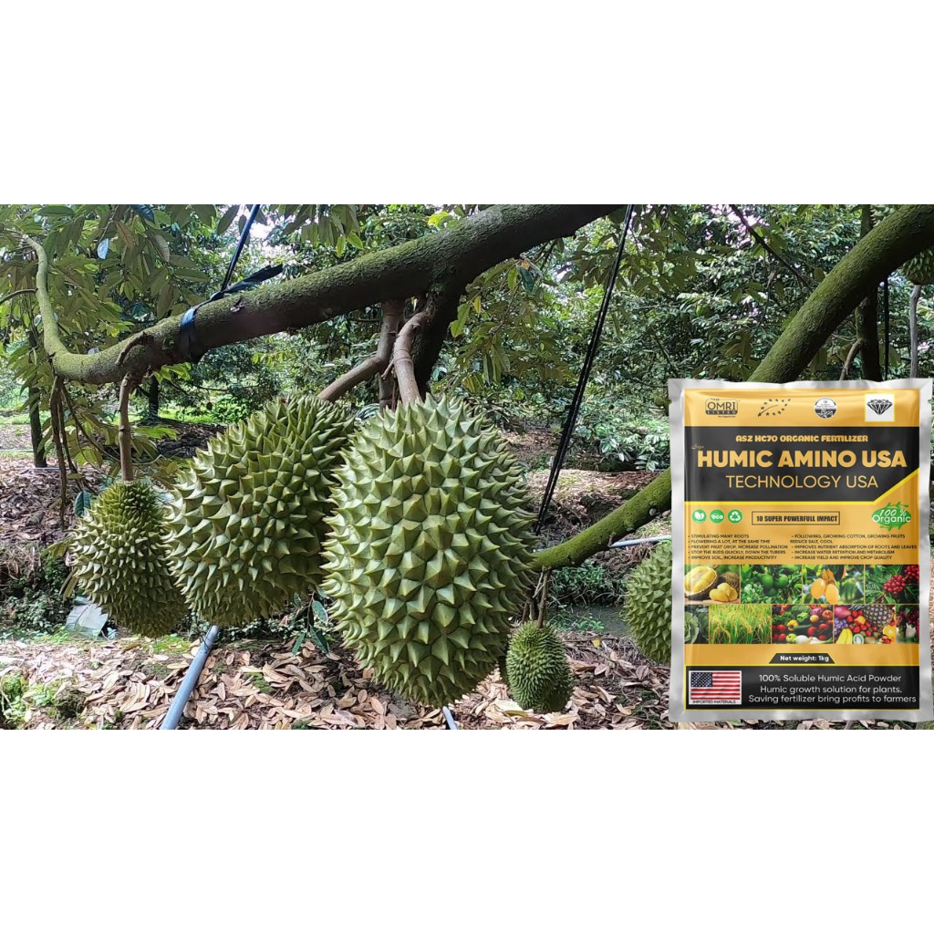Phân bón Humic Amino USA 1KG kích rễ tăng trưởng cây