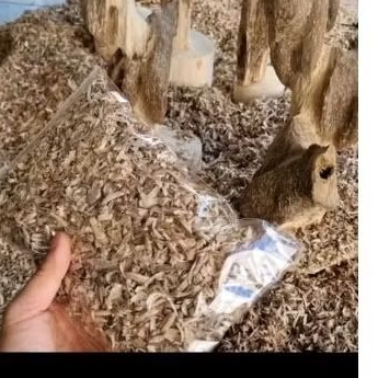giác trầm loại 1