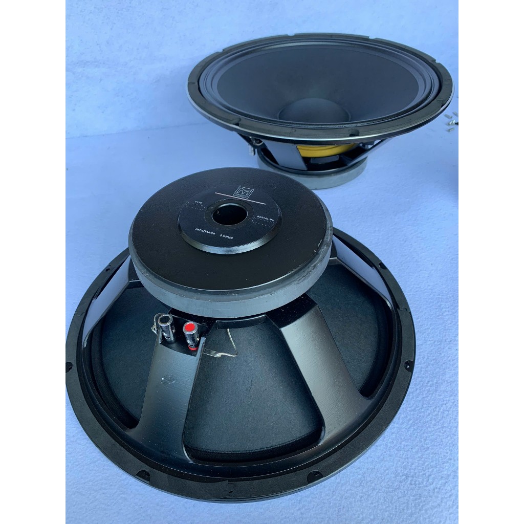 LOA BASS 30 MARTIN TỪ ĐƠN 140 COIL 38 XƯƠNG NHÔM - GIÁ HAI LOA