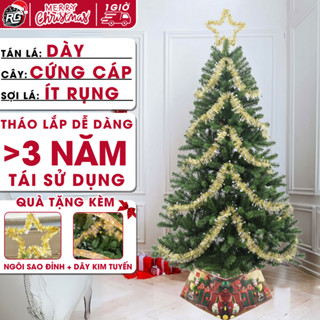 [Hoả Tốc] Cây Thông Noel 2M 2M4 3M Trang Trí Noel Giáng Sinh, Tặng Kèm Ngôi Sao Đỉnh, Dây Kim Tuyến