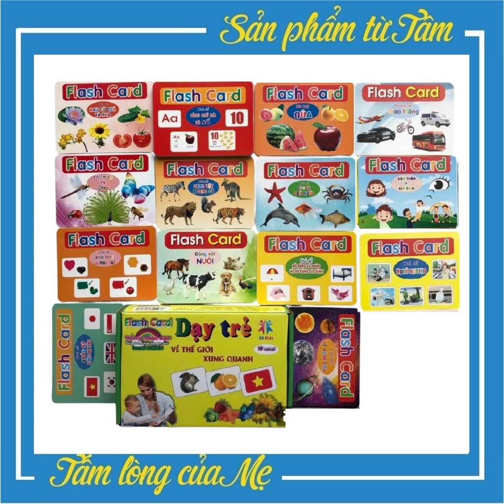 Thẻ Học Thông Minh Song Ngữ 12x16 cm Anh - Việt Theo Phương Pháp Glenn Doman - Tách Thẻ của Bộ 19 Chủ Đề