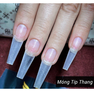 Móng nối phom thang, móng tip phom thang mẫu ngắn bịch 500 móng đủ size