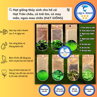 Hạt giống thủy sinh cho hồ cá - Hạt Trân châu, có trái tim, cỏ may mắn, ngưu mao chiên [HẠT GIỐNG]